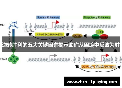 逆转胜利的五大关键因素揭示助你从困境中反败为胜